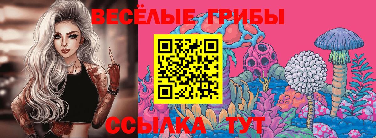 Галлюциногенные грибы прущие грибы Павловский Посад